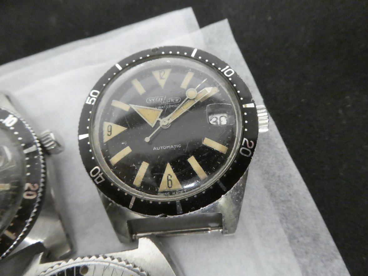 P1320962.JPG P1320962.JPG