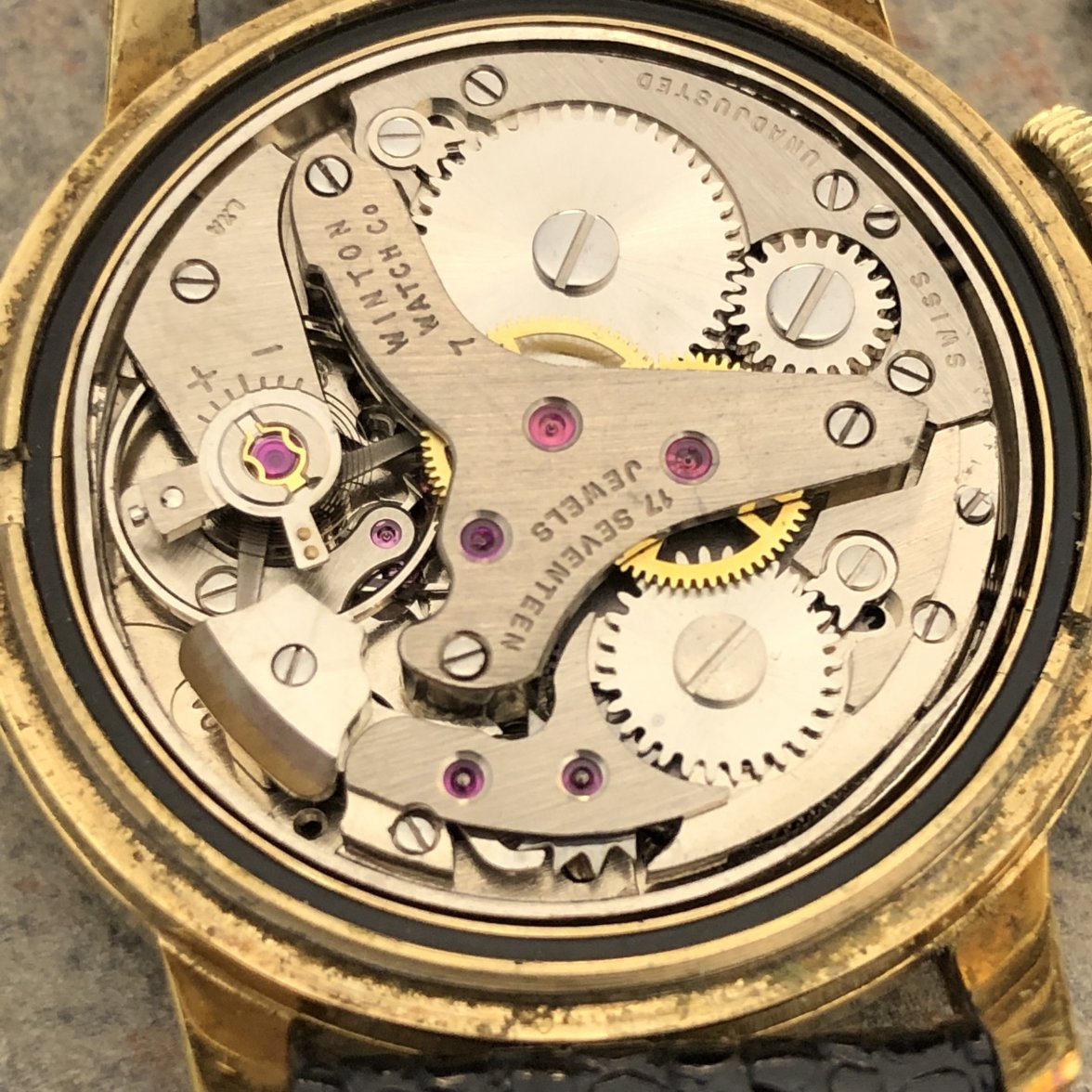 390972C4-44D8-45B5-9000-A41203A1C651.jpeg 390972C4-44D8-45B5-9000-A41203A1C651.jpeg