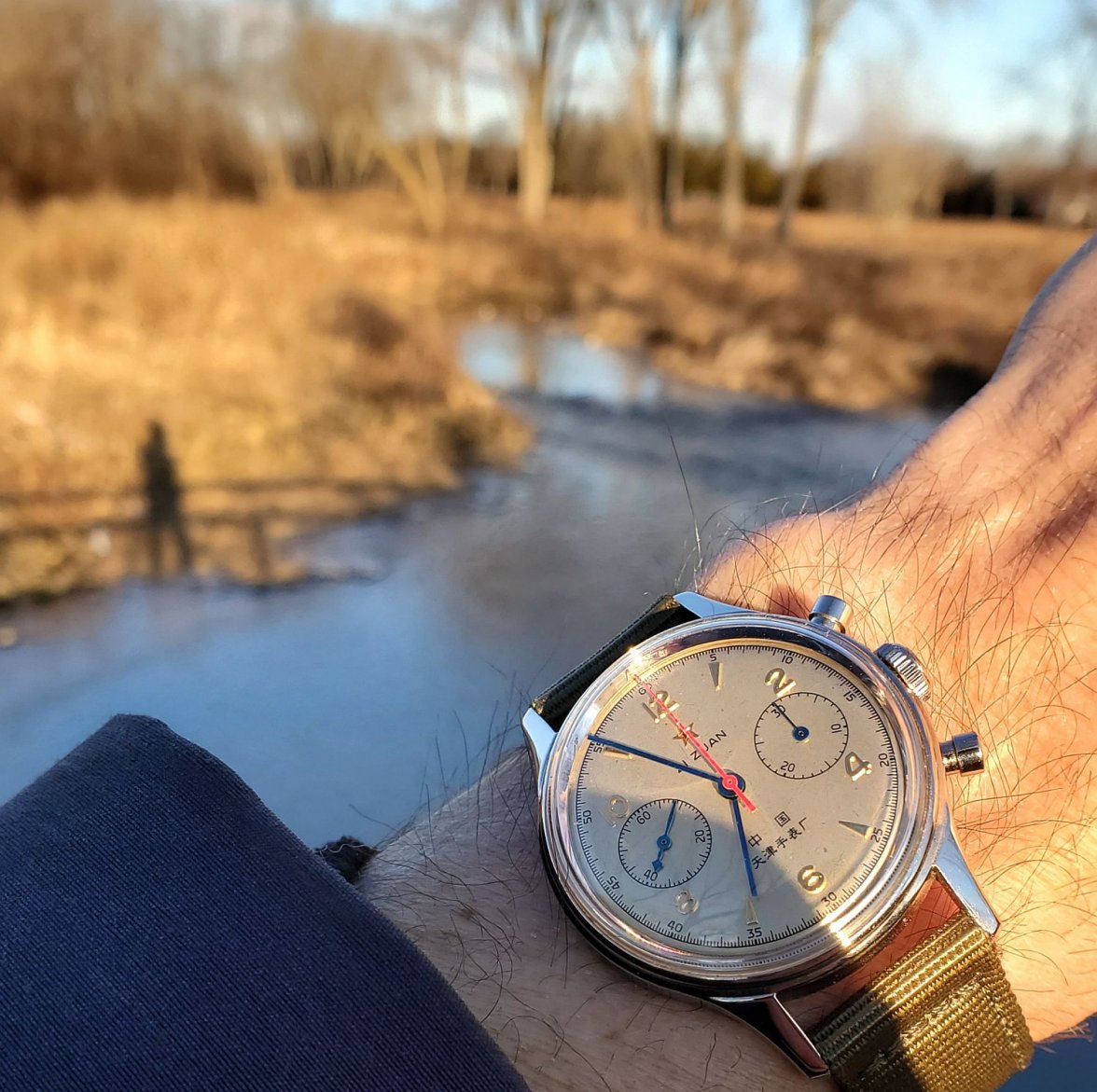 Seagull ws 1 20220312_065512.jpg