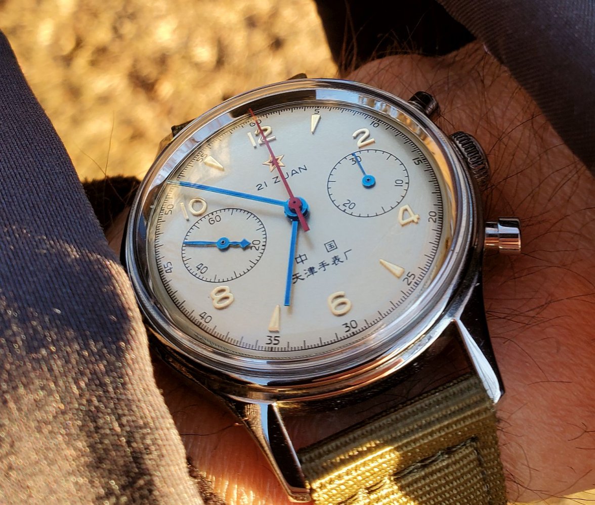 Seagull ws 2 20220312_065154.jpg