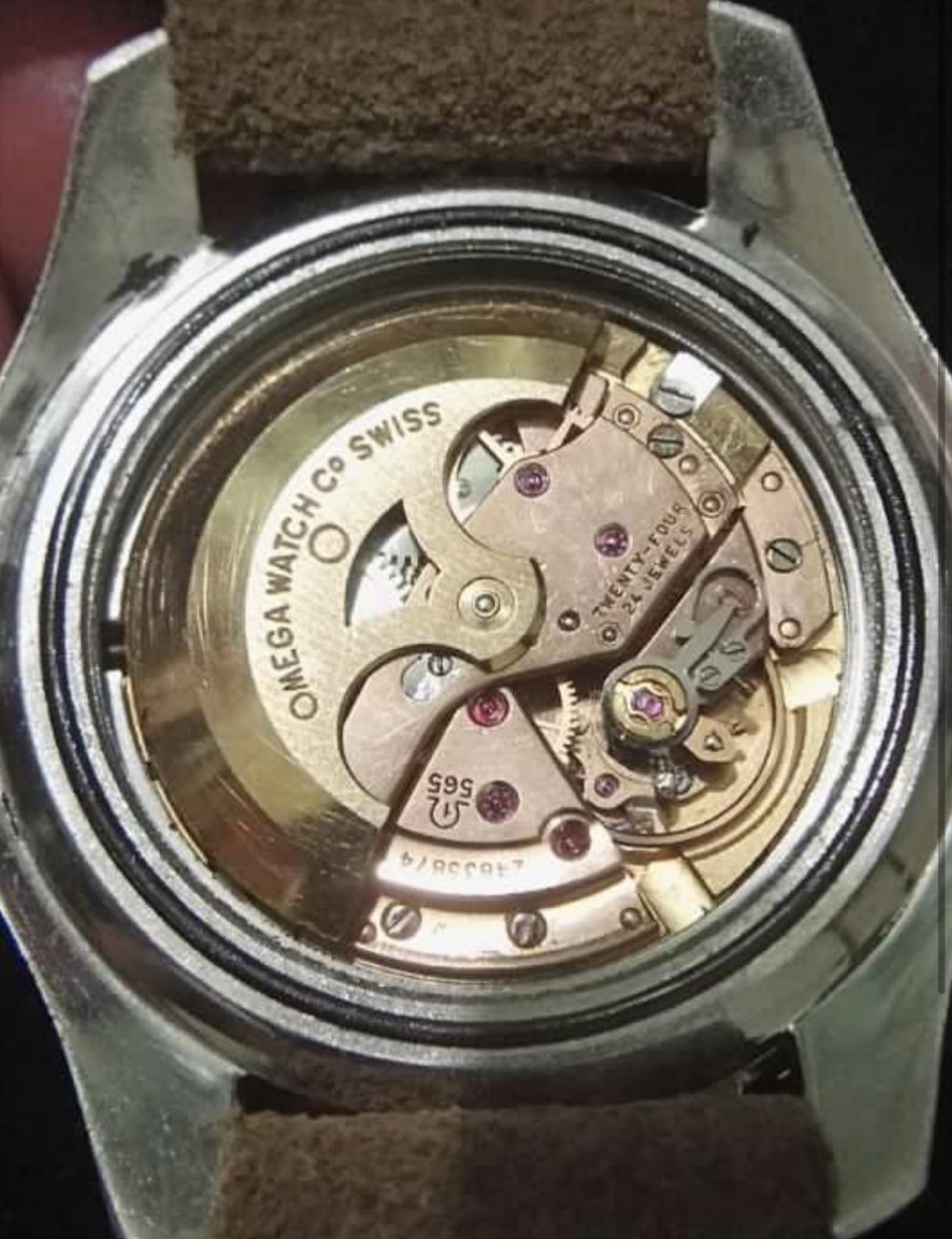 729A23EE-9F81-4F79-8A53-F62257FAA64D.jpeg 729A23EE-9F81-4F79-8A53-F62257FAA64D.jpeg