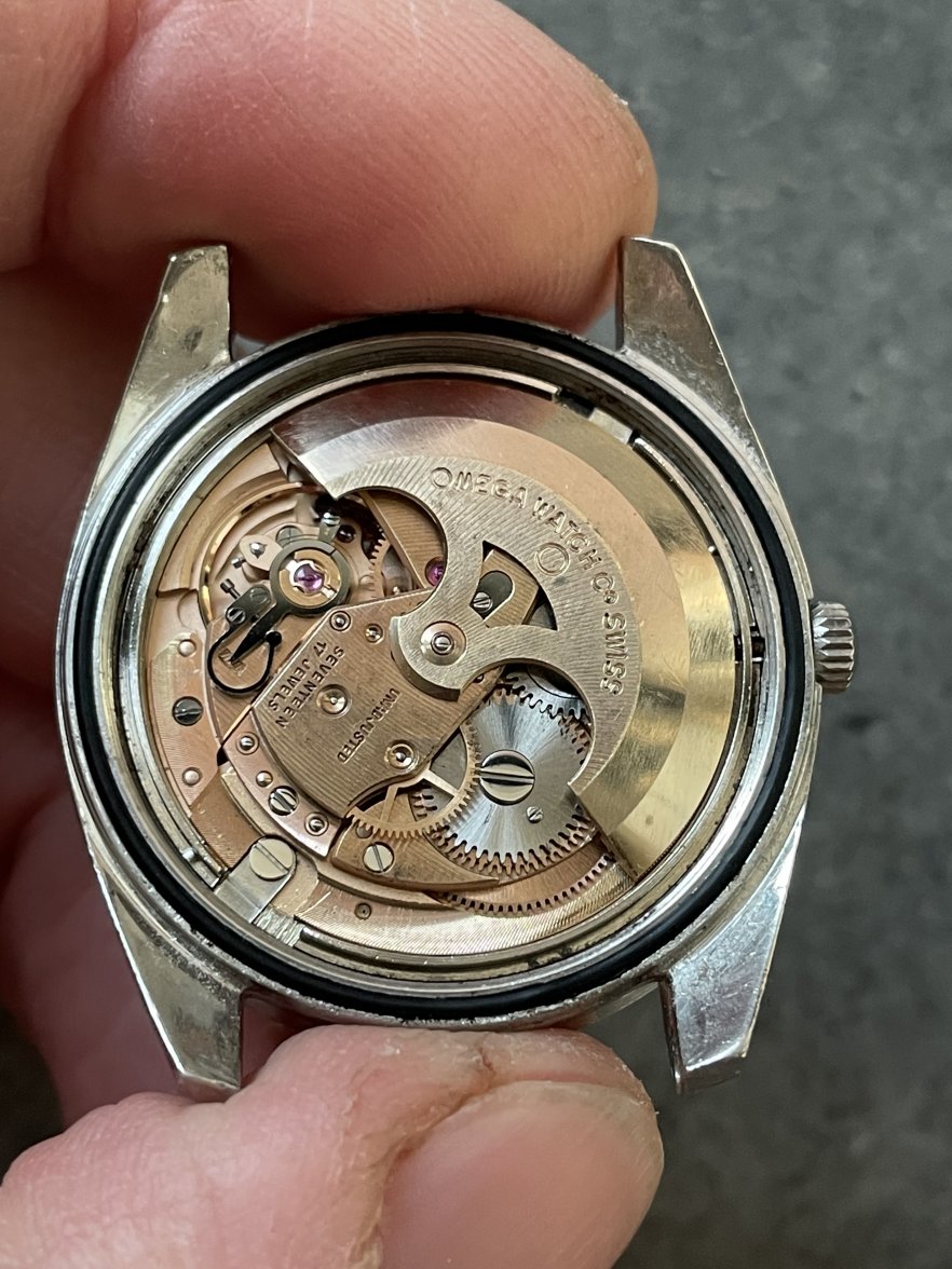 IMG_1233.jpg IMG_1233.jpg