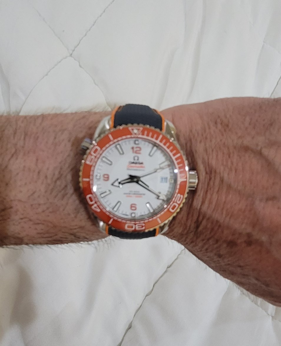 20220311_202041.jpg 20220311_202041.jpg