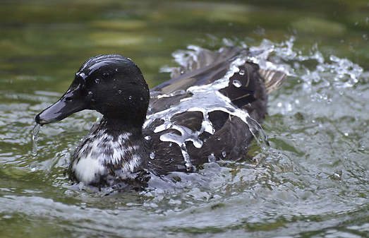 Screen Shot 2015-07-04 at 08.47.47.png