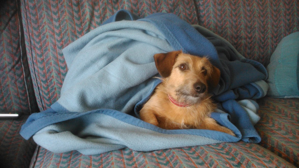 DSC_0153.jpg DSC_0153.jpg