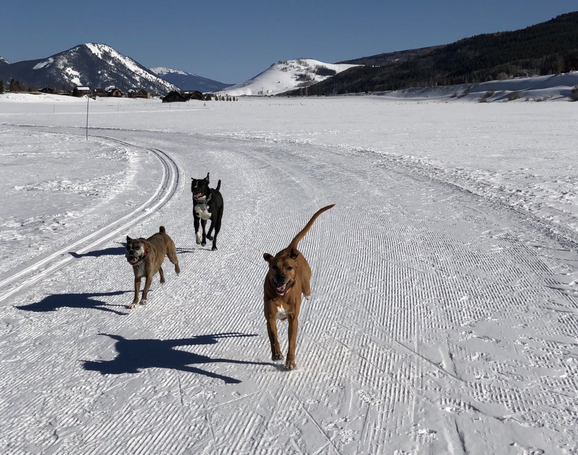 IMG_2155.jpeg IMG_2155.jpeg