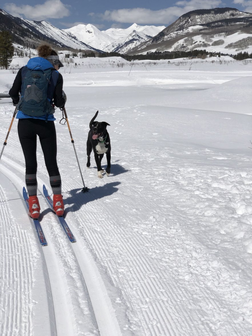 IMG_2167.jpeg IMG_2167.jpeg