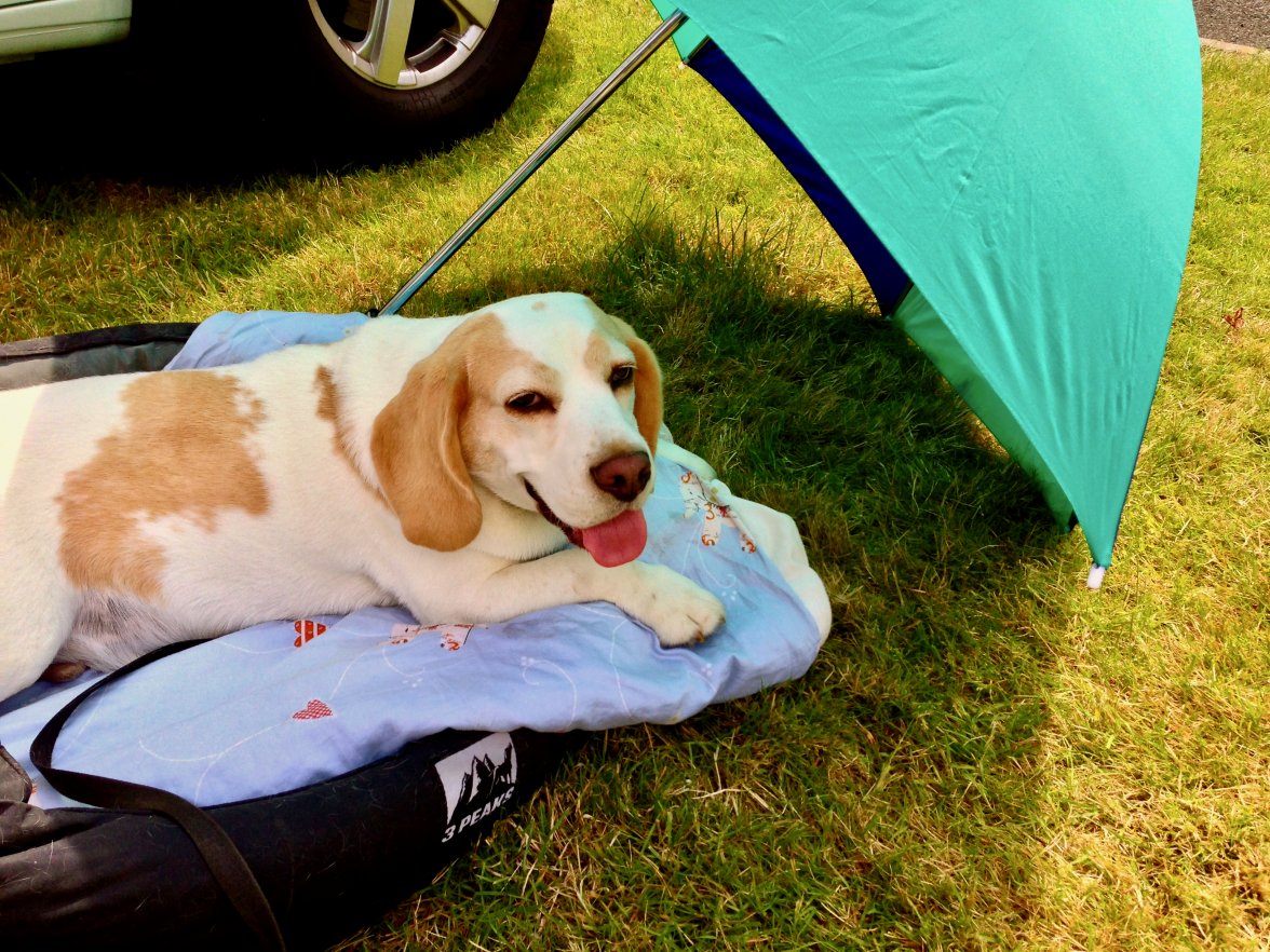 IMG_1141.jpeg IMG_1141.jpeg