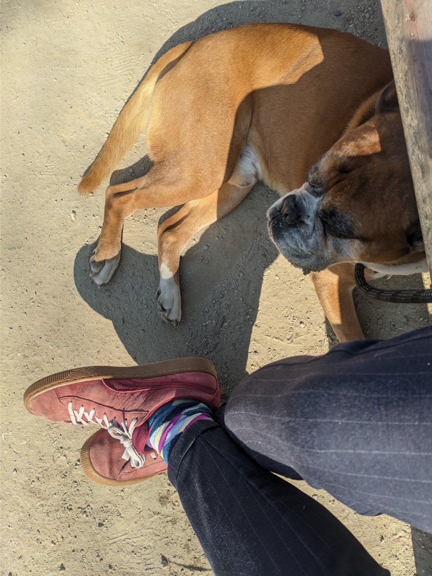 PXL_20220325_141010549.jpg PXL_20220325_141010549.jpg