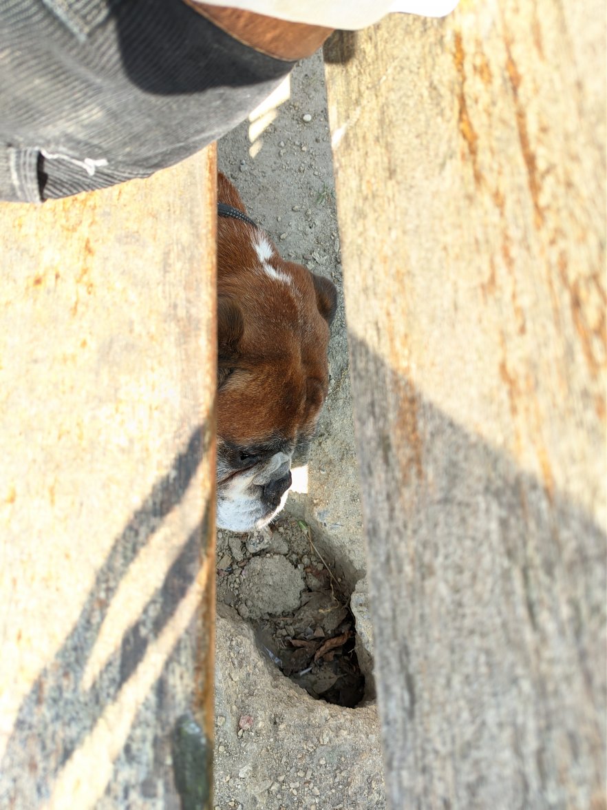 PXL_20220324_145113056.jpg PXL_20220324_145113056.jpg