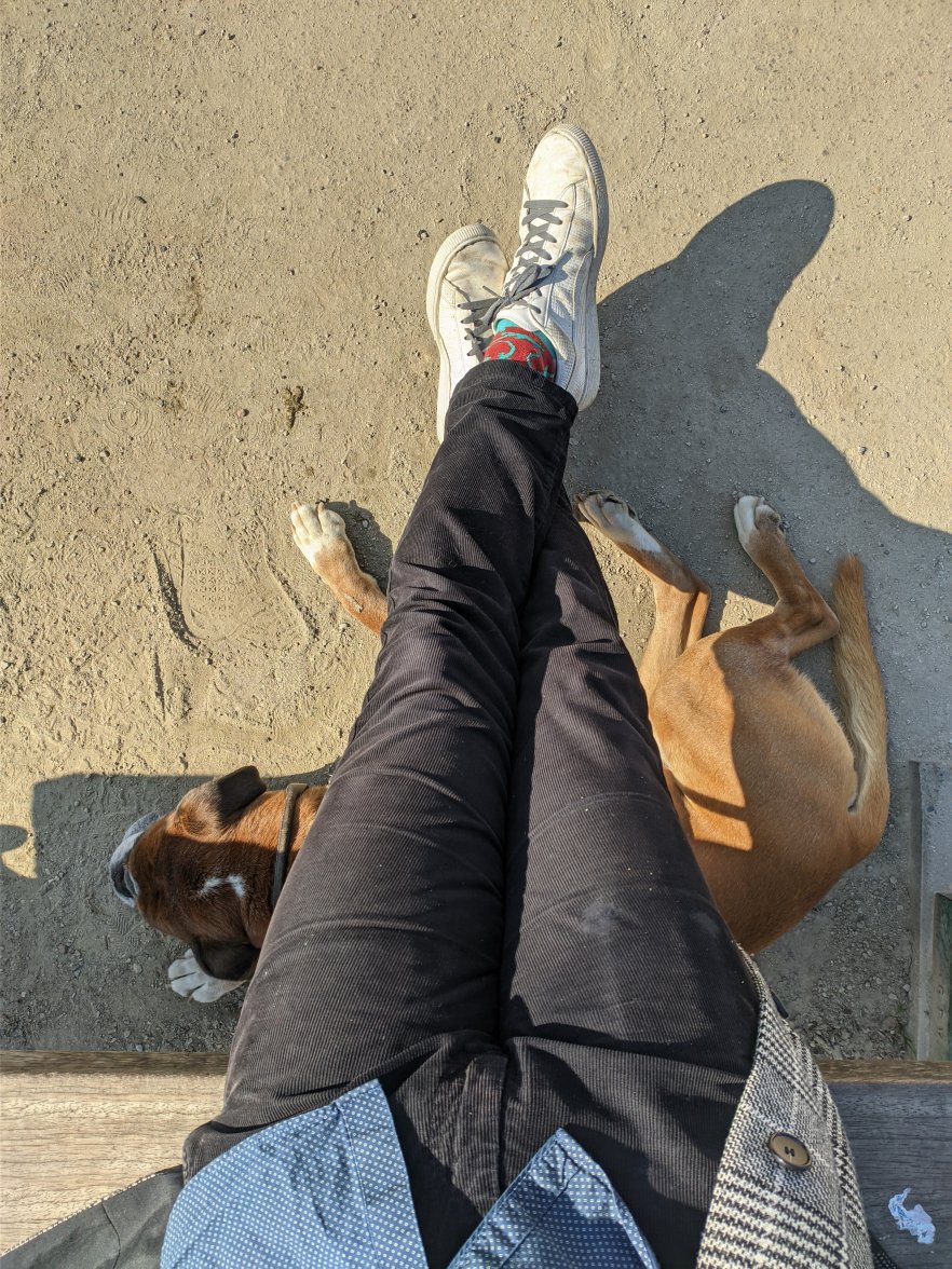 PXL_20220323_141041892.jpg PXL_20220323_141041892.jpg