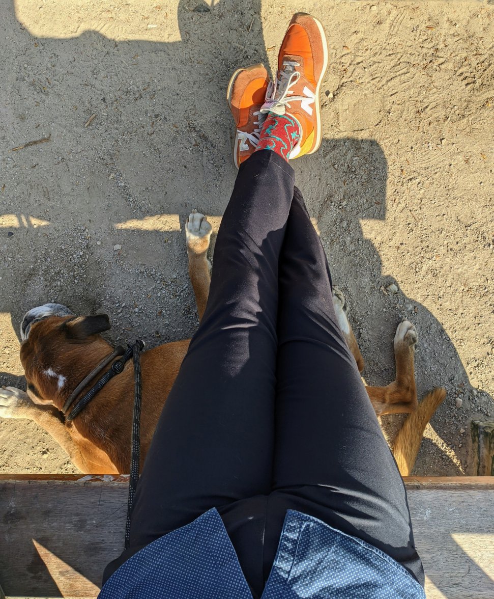 PXL_20220322_150606923.jpg PXL_20220322_150606923.jpg