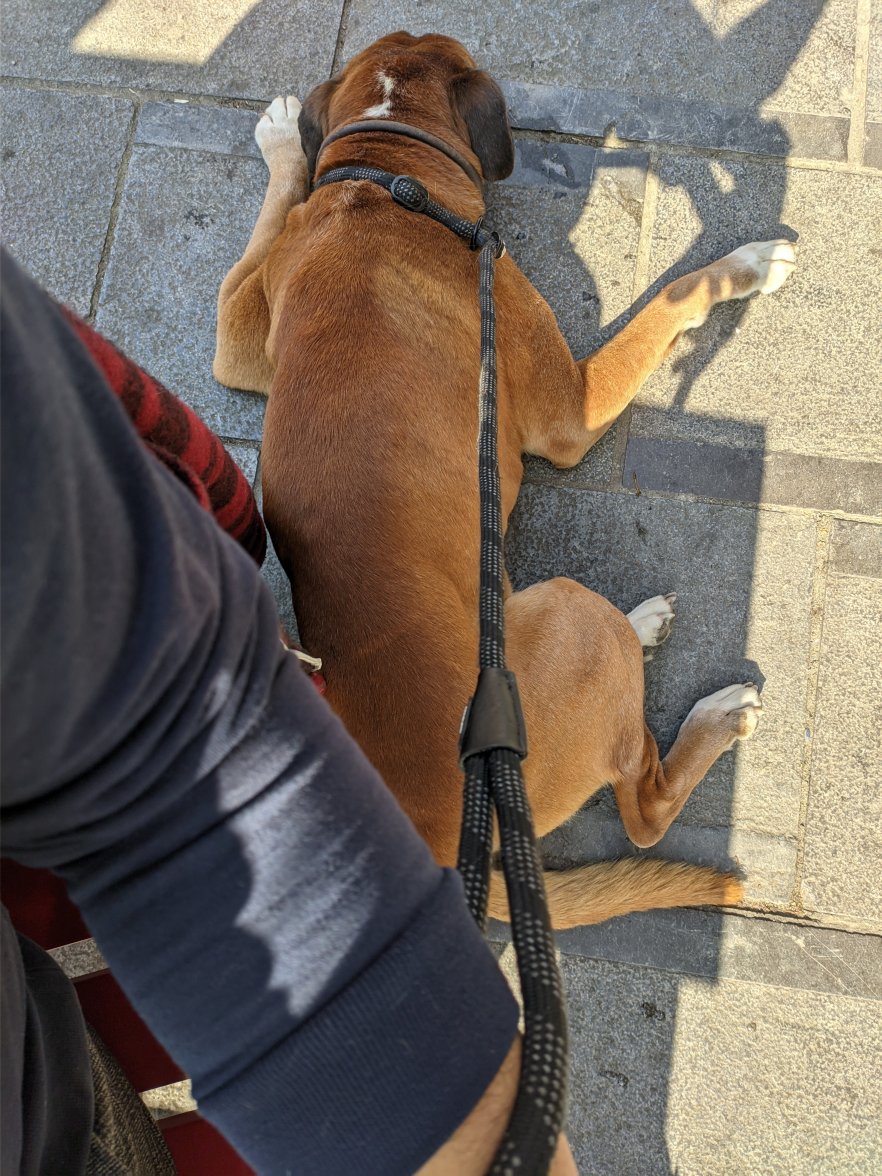 PXL_20220322_111048074.jpg PXL_20220322_111048074.jpg