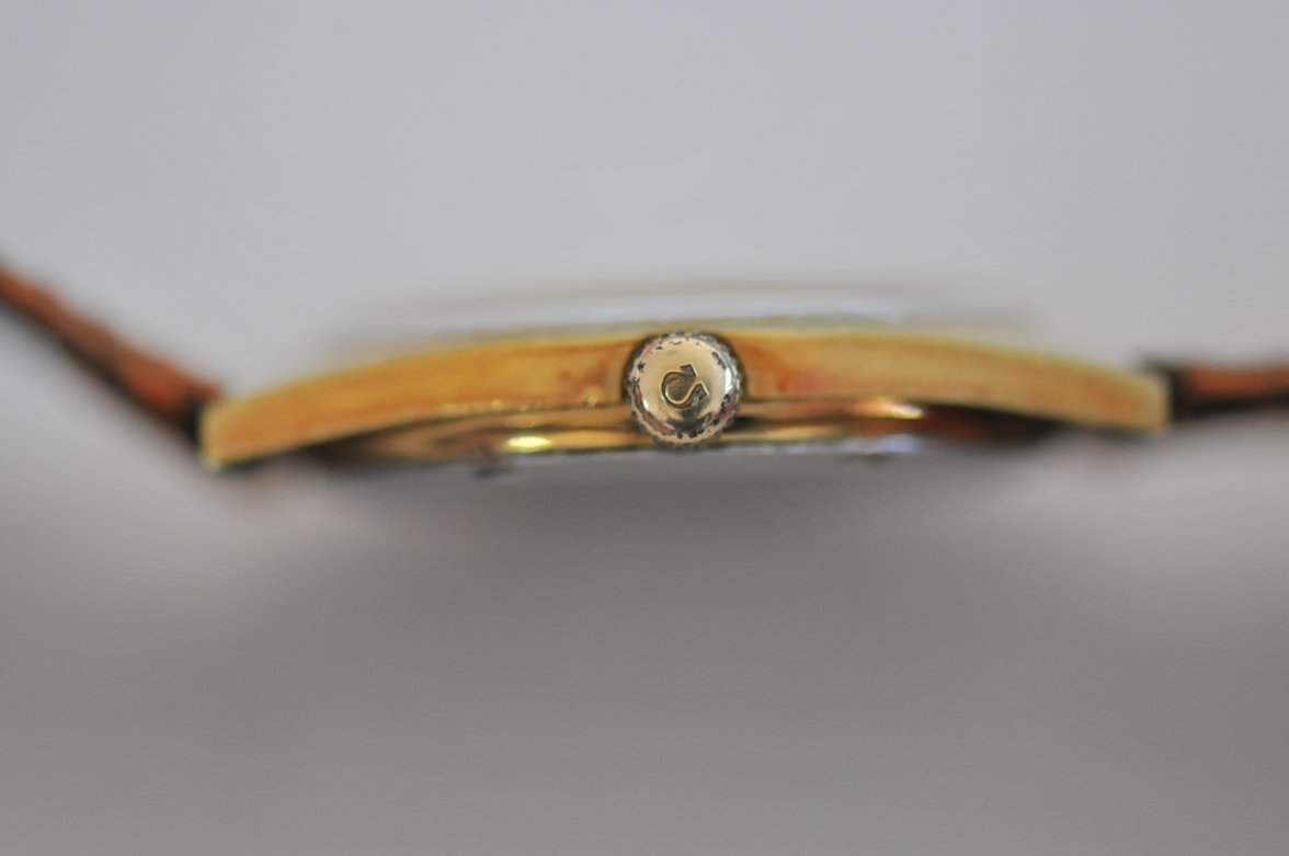 DSC_5335.JPG DSC_5335.JPG