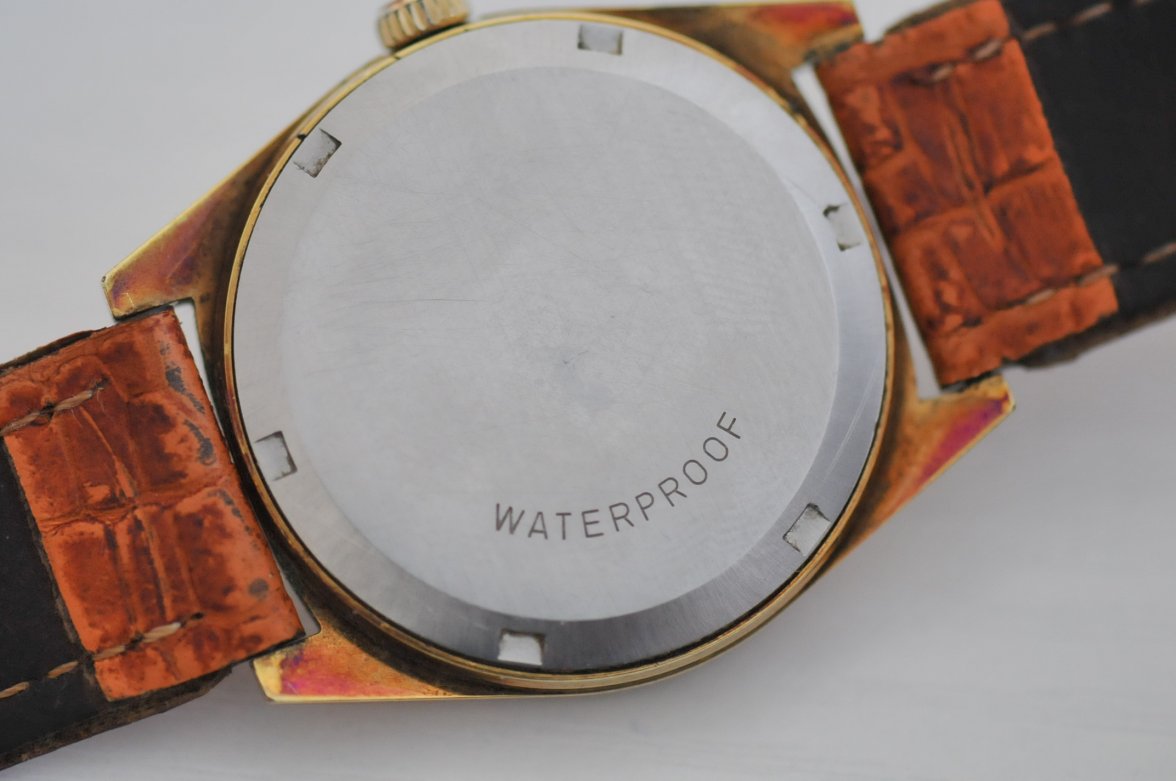 DSC_5337.JPG DSC_5337.JPG