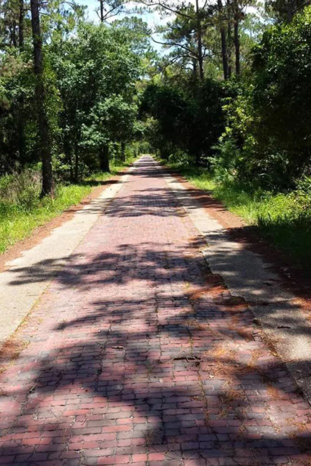 Screenshot 2022-03-26 203016.jpg