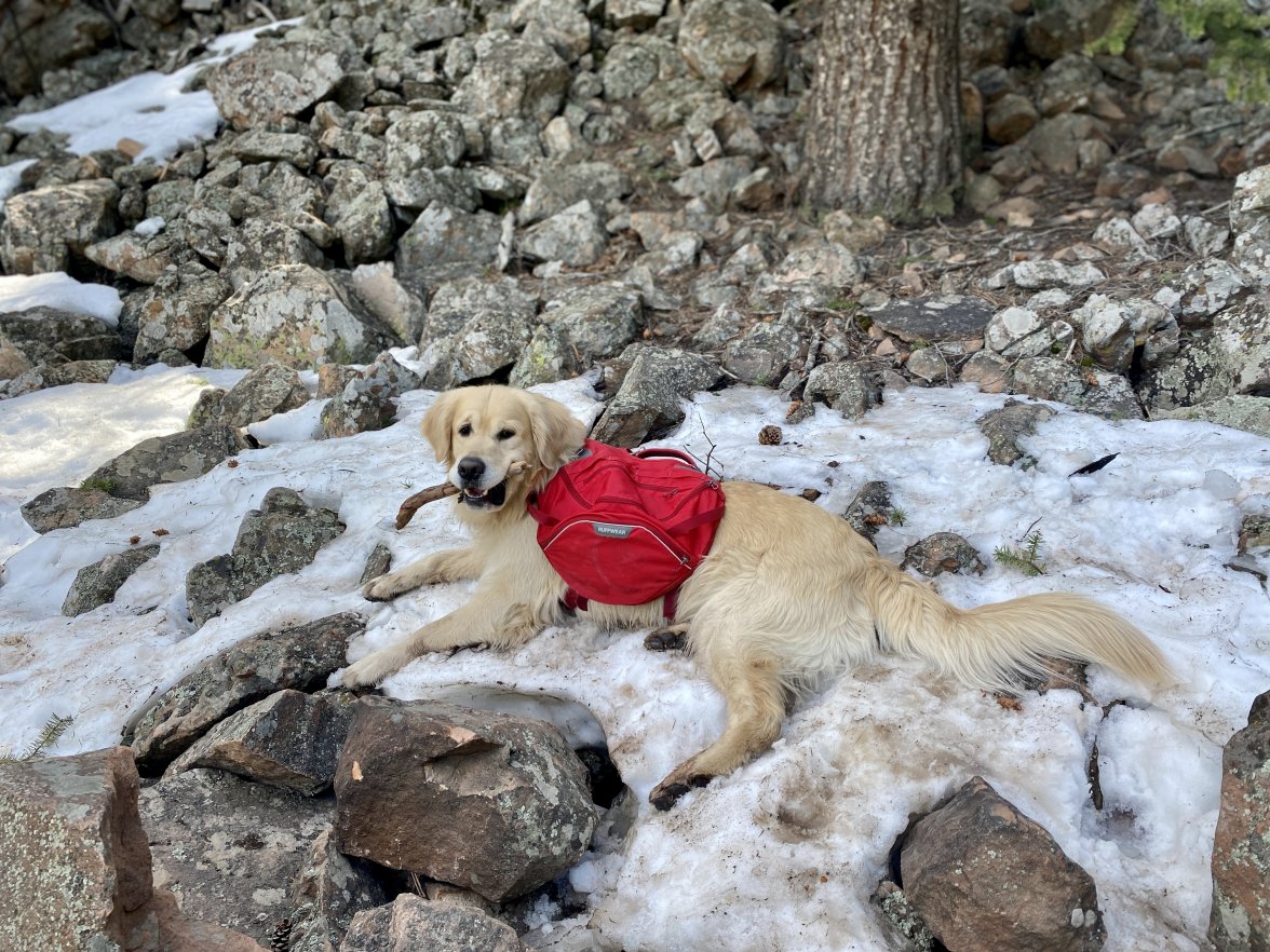 F24D2B88-F03C-4DA4-BA29-2BE887A87DF8.jpeg F24D2B88-F03C-4DA4-BA29-2BE887A87DF8.jpeg