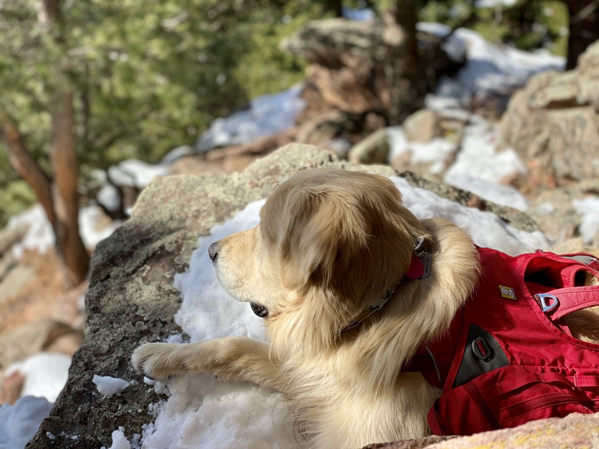 9F6CF868-D409-4284-9524-1FC05421E319.jpeg 9F6CF868-D409-4284-9524-1FC05421E319.jpeg