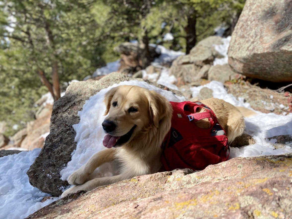 05F72521-AC8A-4A49-90B9-C2A77241FC07.jpeg 05F72521-AC8A-4A49-90B9-C2A77241FC07.jpeg