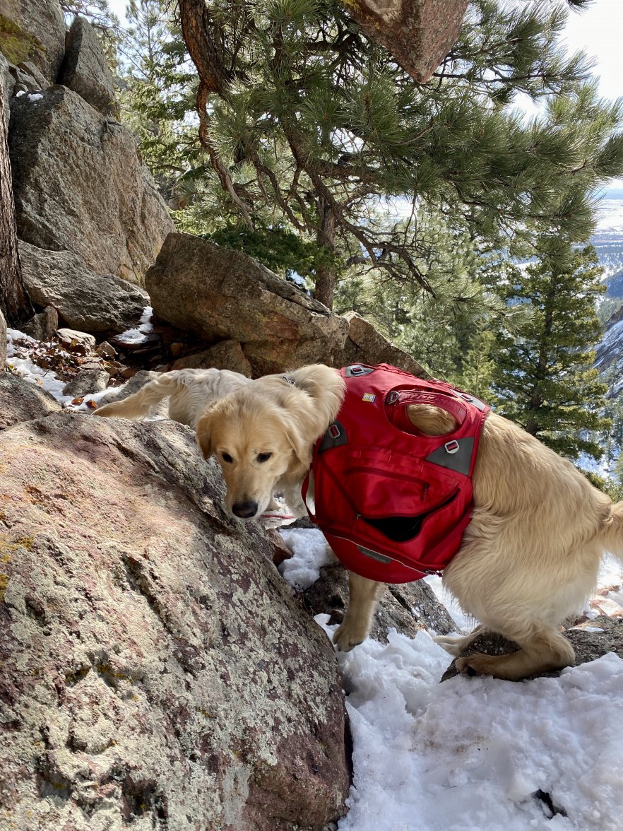 7EF7543C-A5AB-4984-928E-CBBC565364B2.jpeg 7EF7543C-A5AB-4984-928E-CBBC565364B2.jpeg