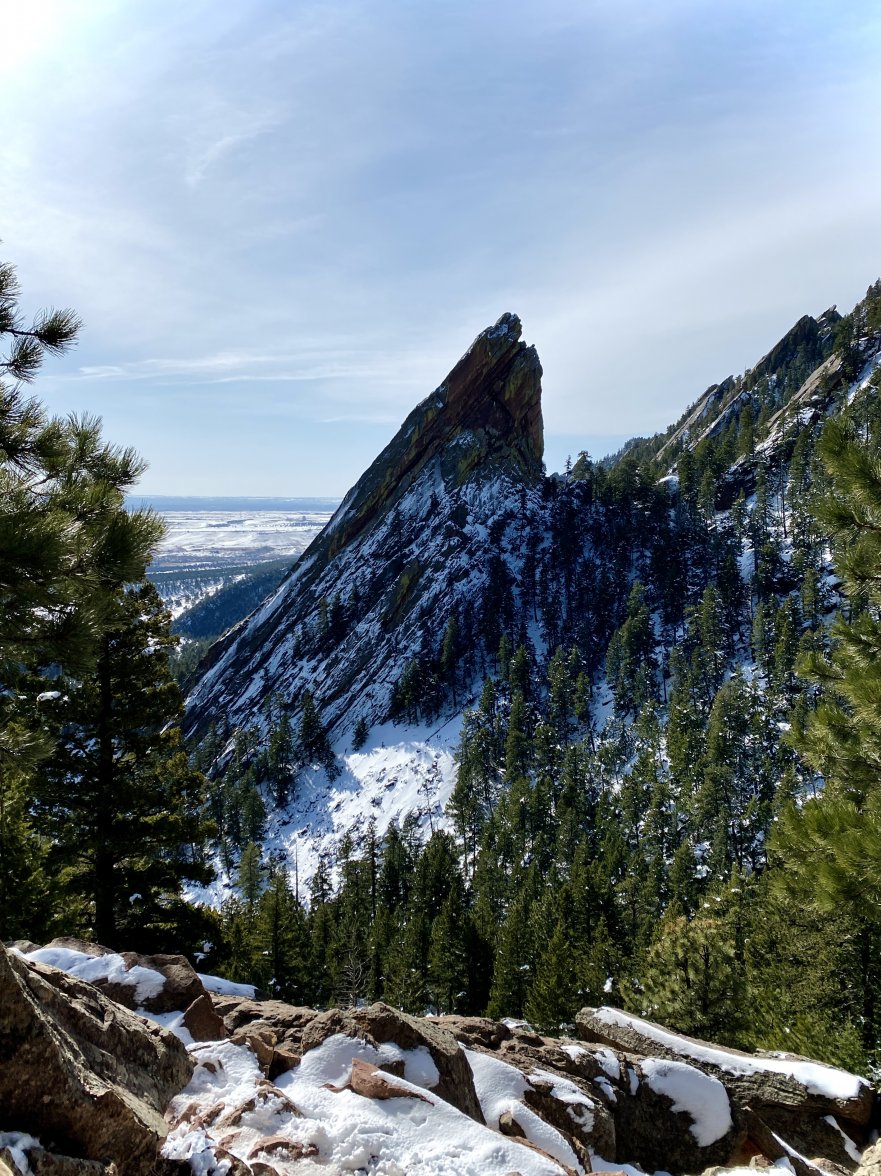 BF244D68-7746-4034-AEBA-EC496935A1A8.jpeg BF244D68-7746-4034-AEBA-EC496935A1A8.jpeg