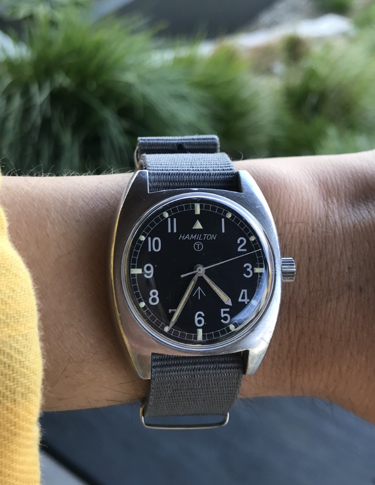 hamilton w10 1973