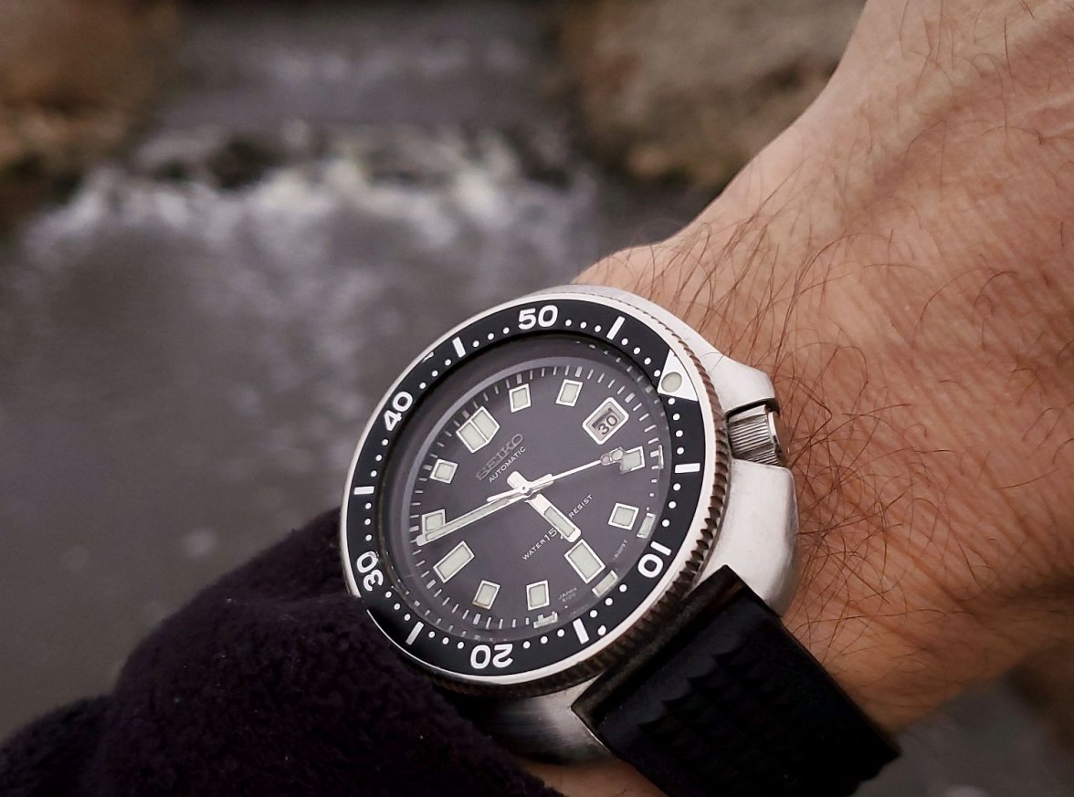 Willard ws 1 20220330_174840.jpg