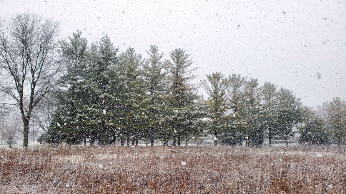 SH600 ws 3 20220402_132332.jpg