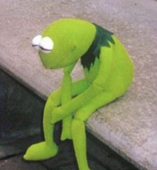Sad Kermit.JPG