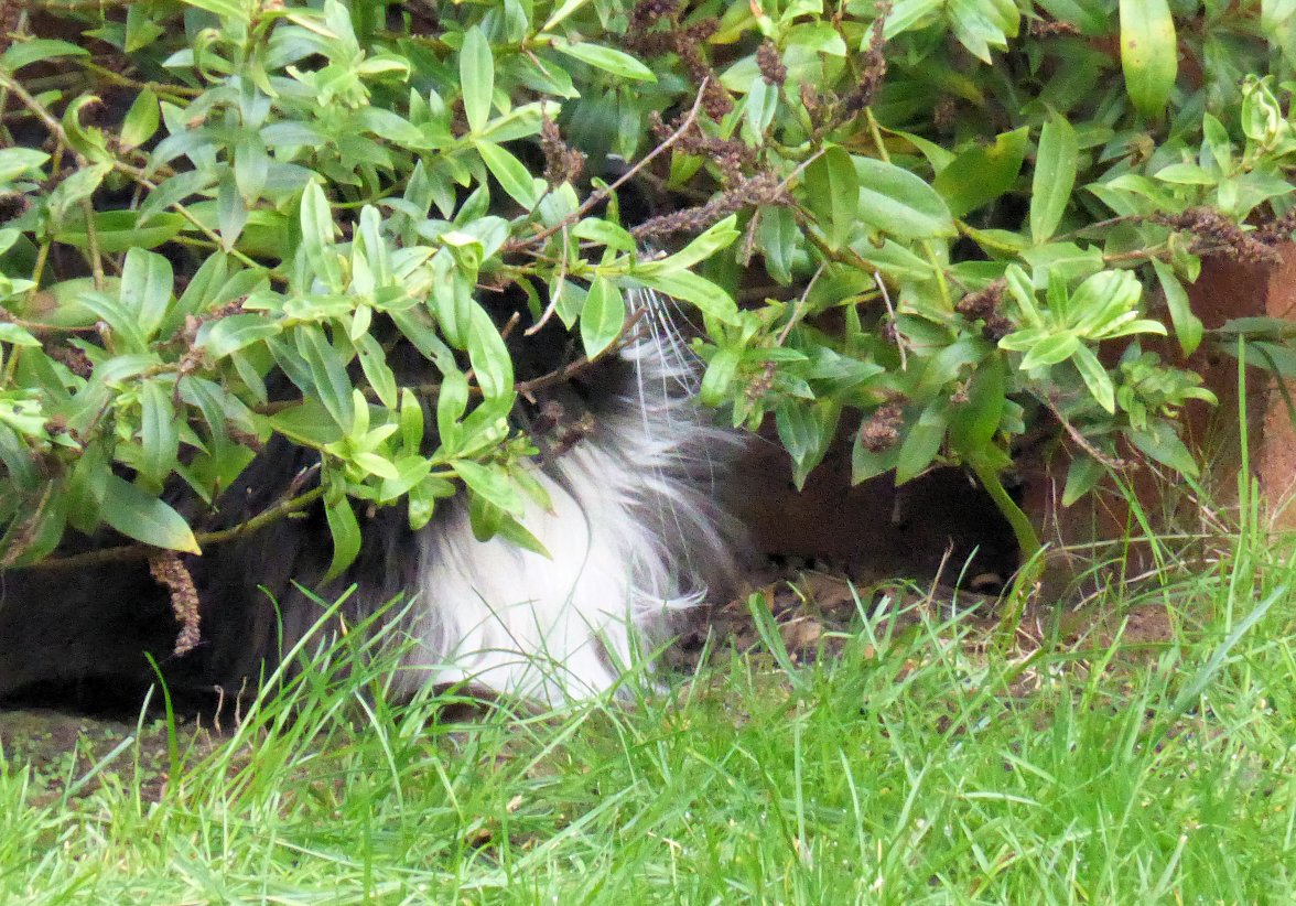 Hunter 01 - Copy.jpg