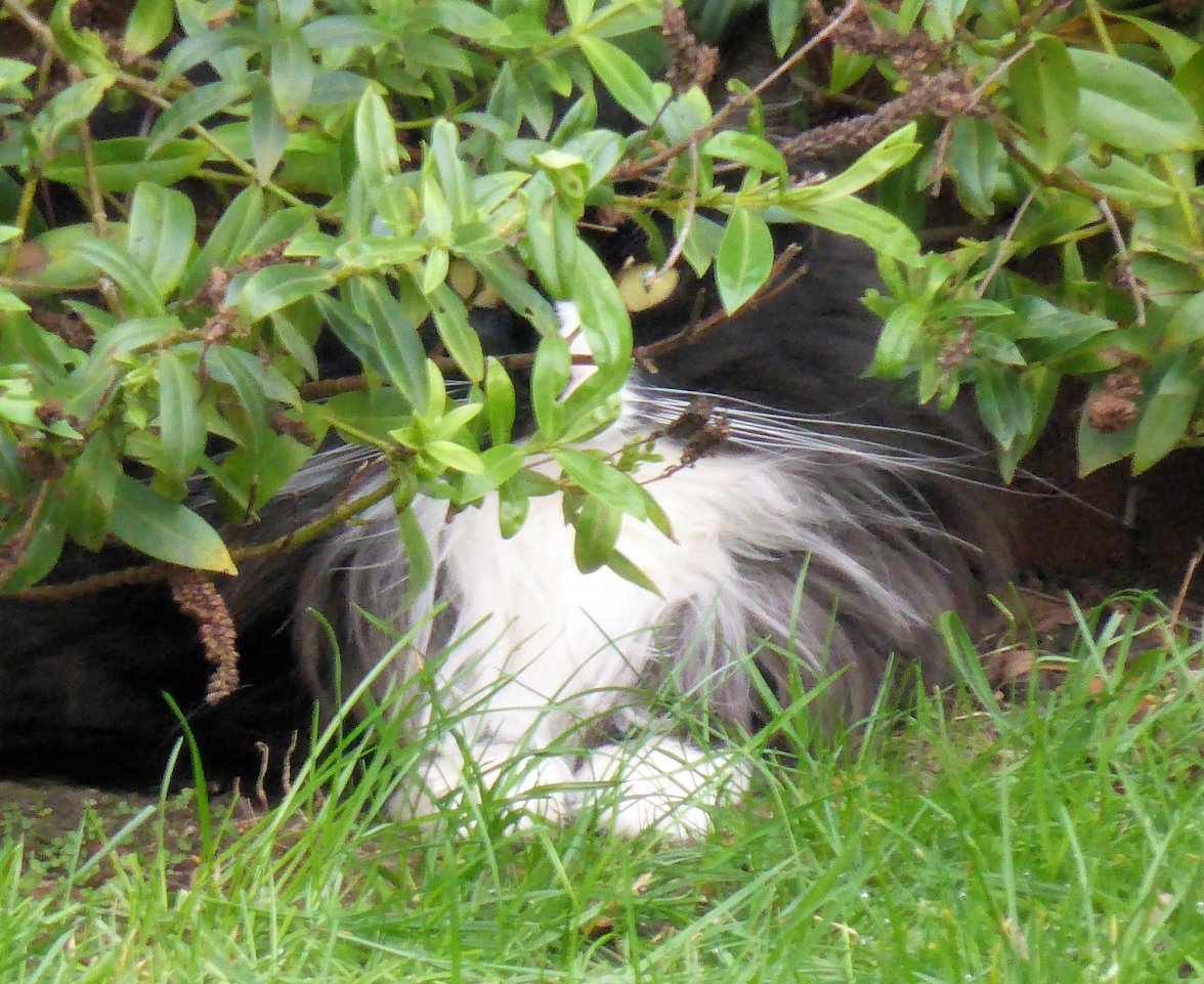 Hunter 02 - Copy.jpg