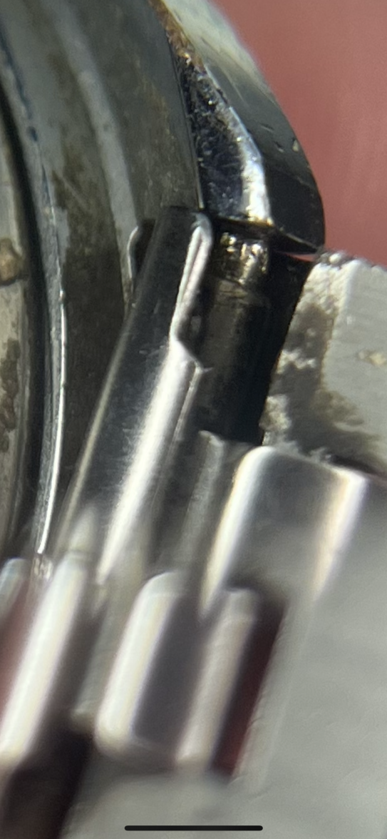 62CE5301-169A-4F5E-96CB-0C573C33DE86.png 62CE5301-169A-4F5E-96CB-0C573C33DE86.png