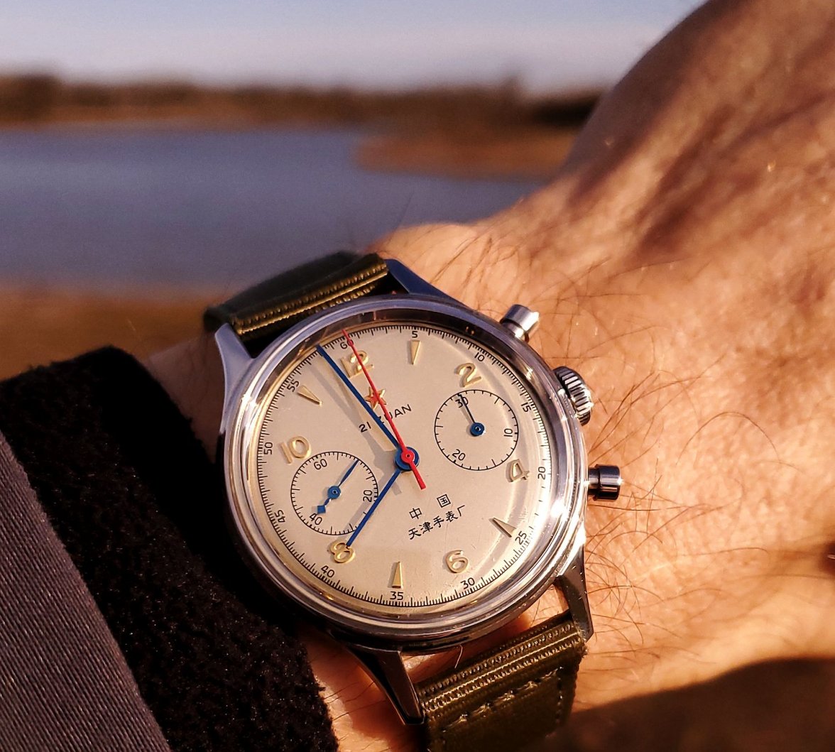 Seagull ws 4 20220415_075630.jpg