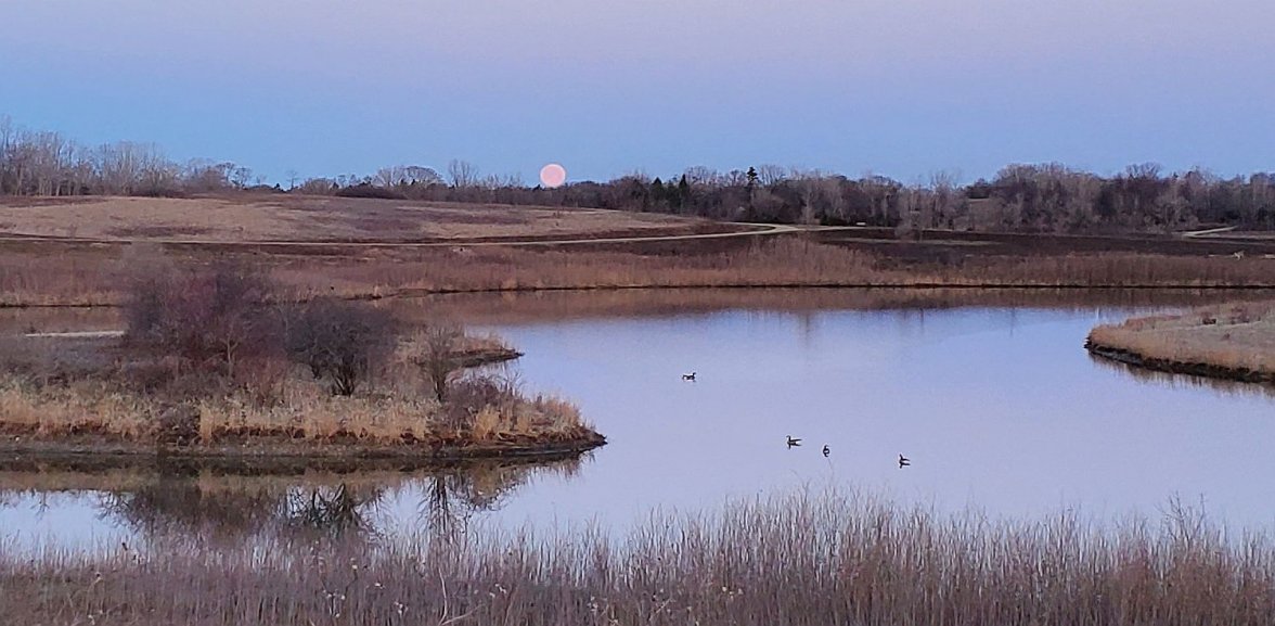 Bulova ws 1 moonset 20220416_060850.jpg