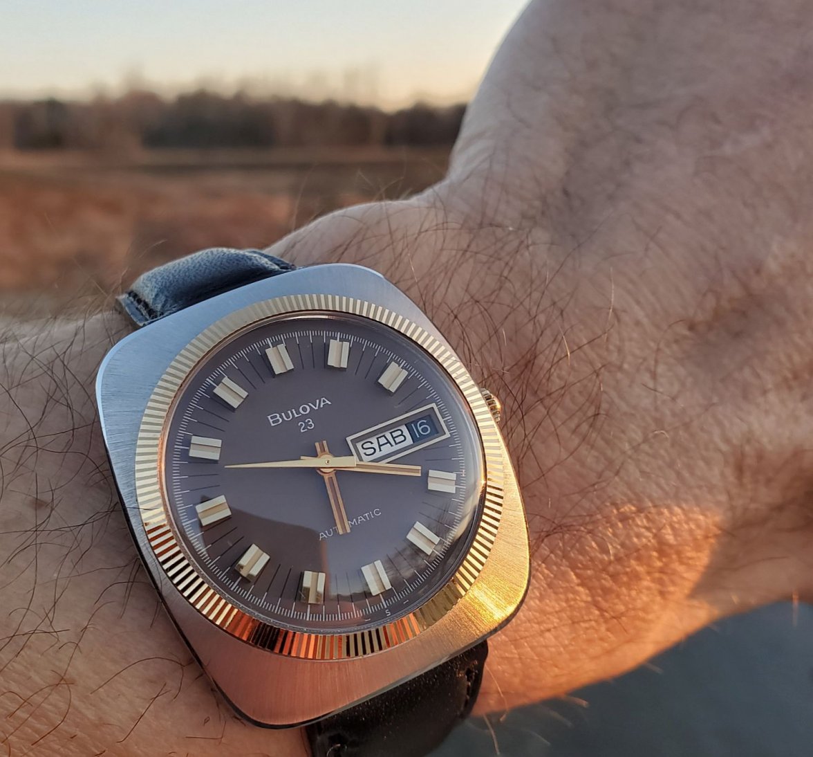 Bulova ws 3 20220416_061951.jpg