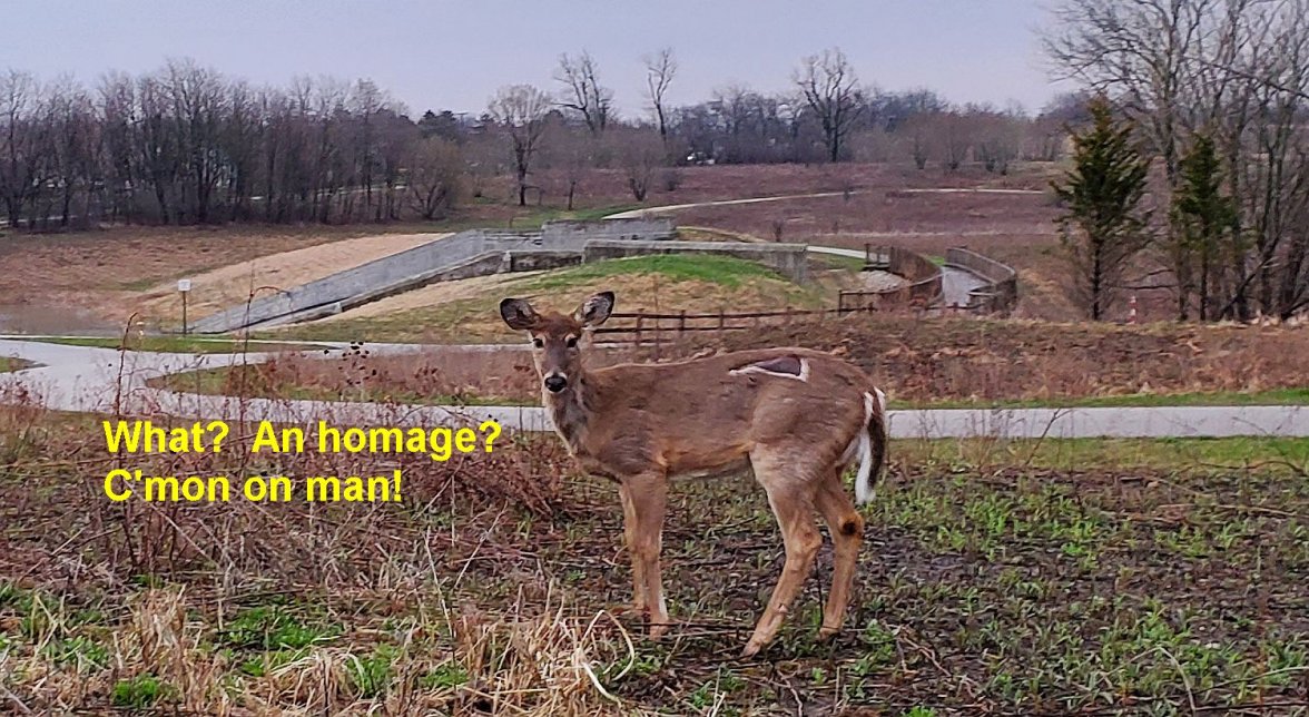 SH600 ws 2 20220422_191322.jpg