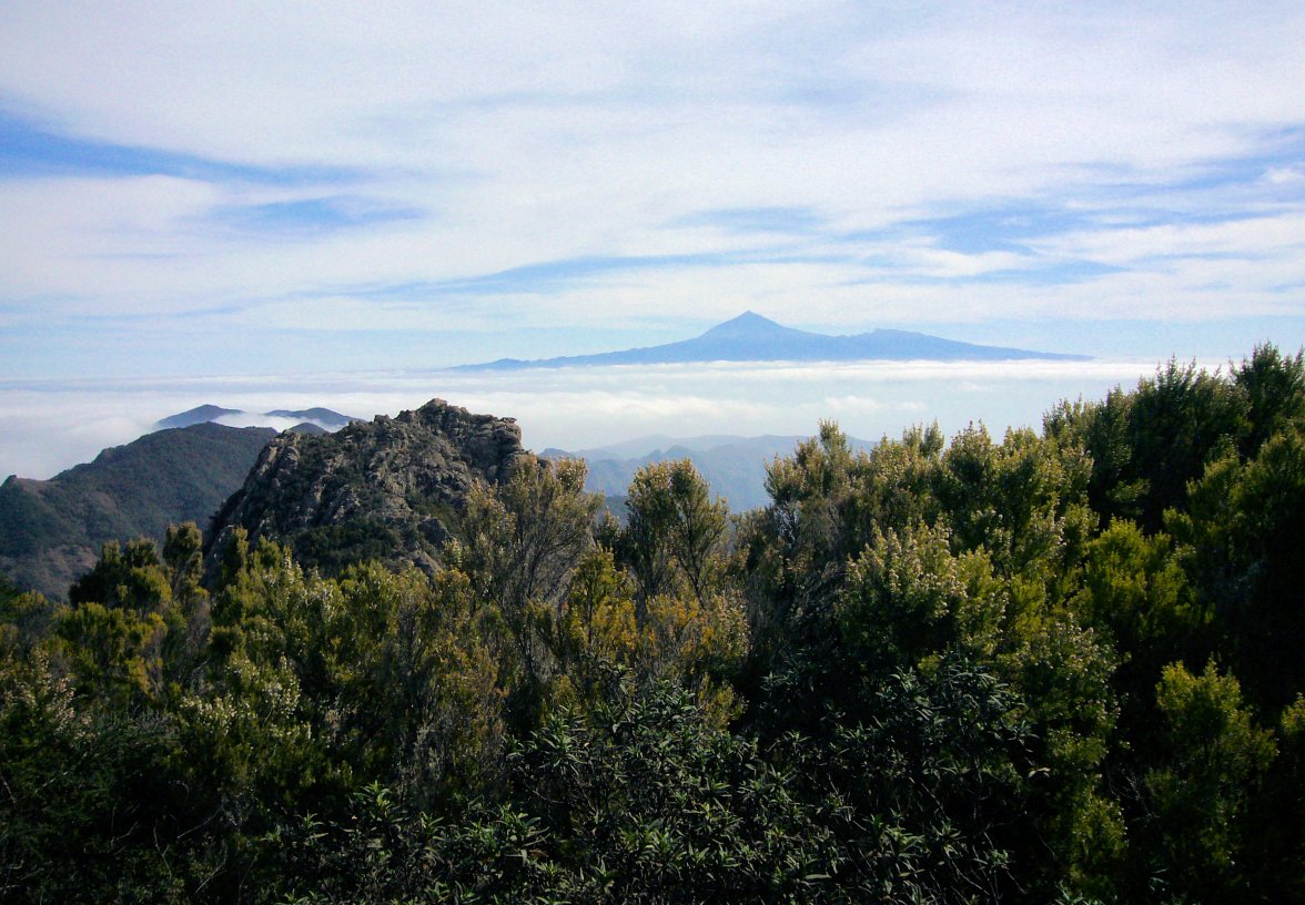 Teide.jpg