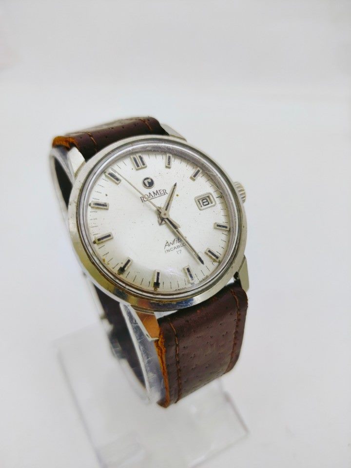 Roamer Anfibia 1.jpg