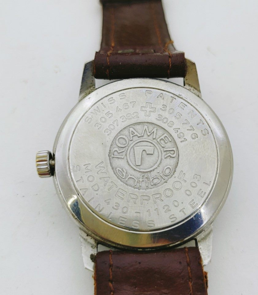 Roamer Anfibia 2.jpg