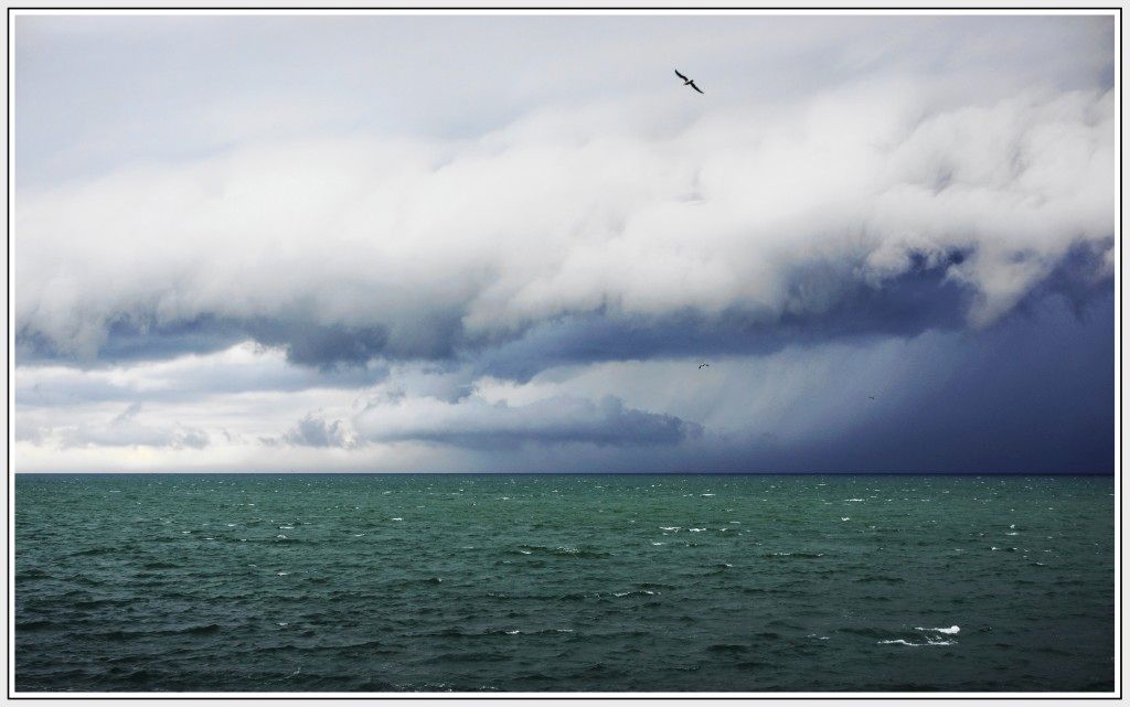 _DSC2413 (1)ba24b.jpg