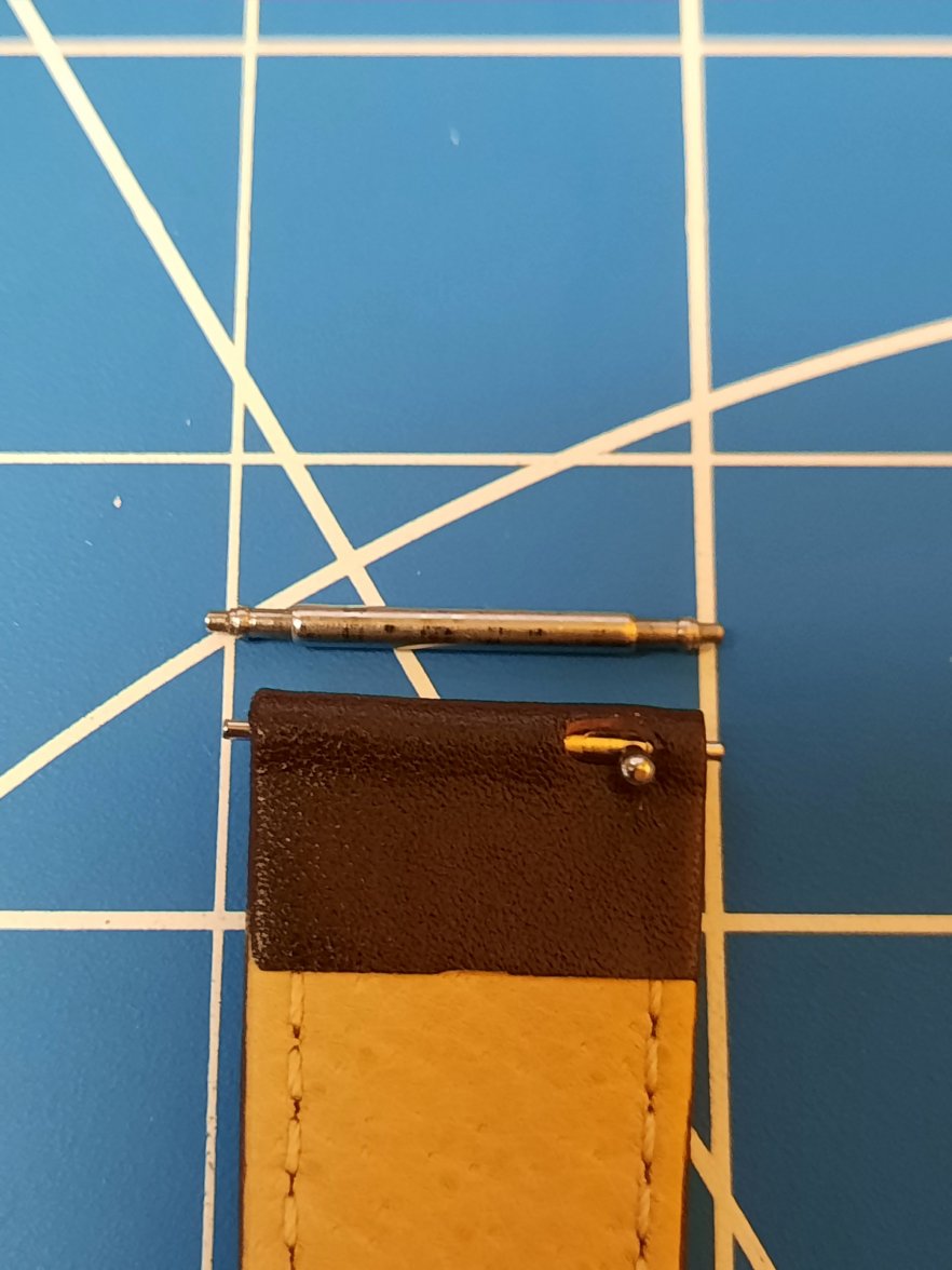 Hirsch.jpg Hirsch.jpg