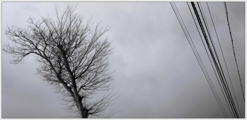 tomari2 009ta (1)b24.jpg