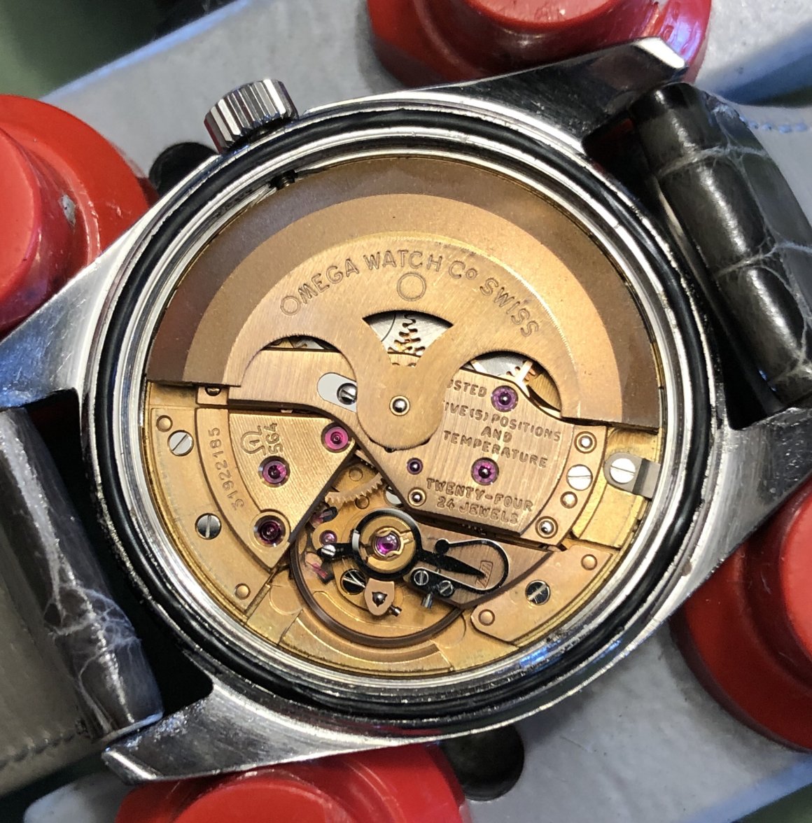 IMG_2283.jpeg IMG_2283.jpeg