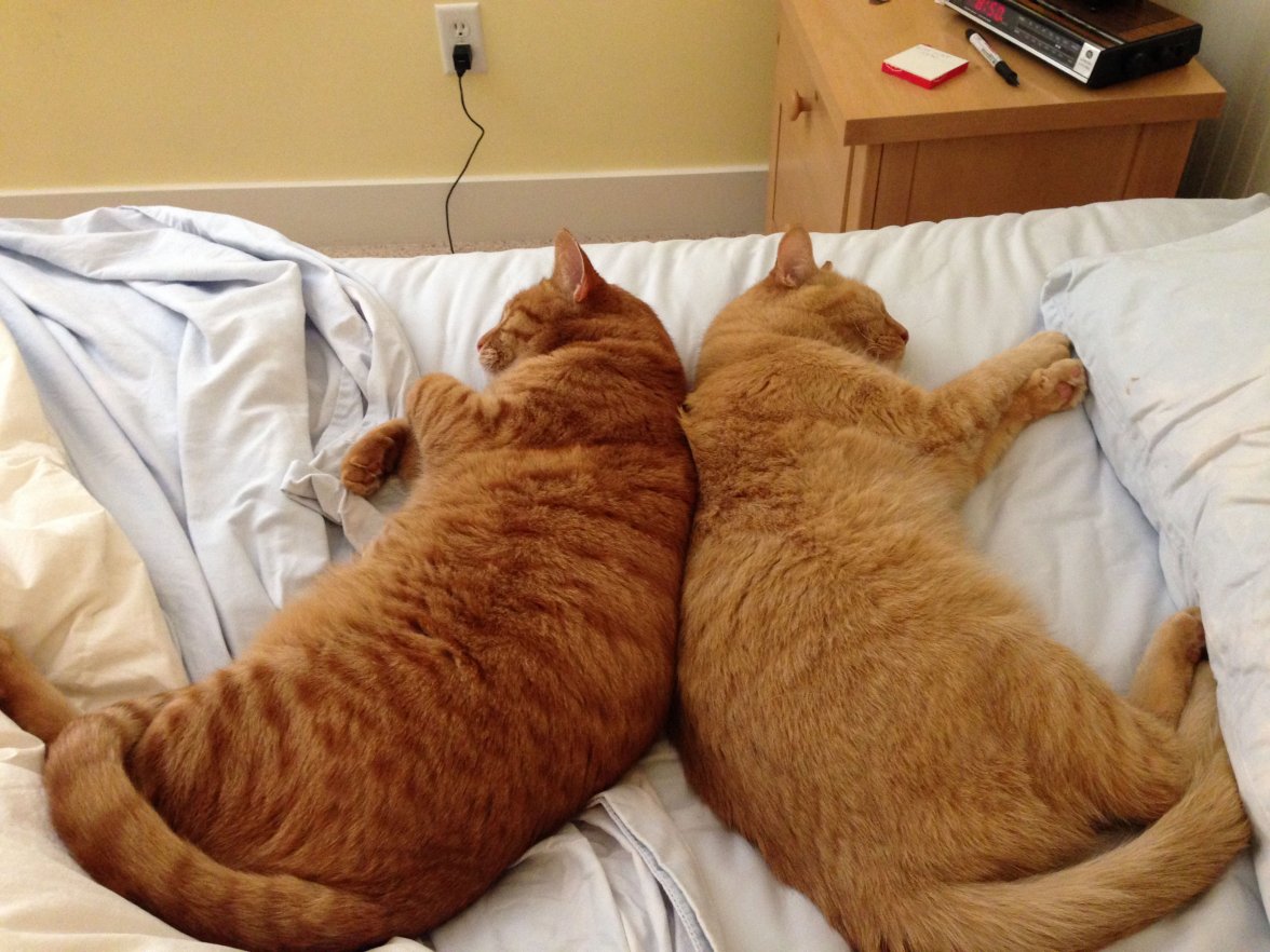 Sam & Chandler back-to-back.jpg