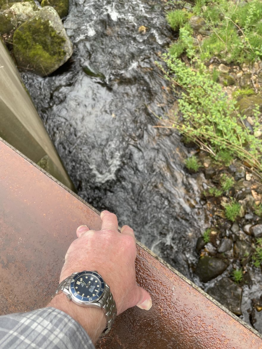 D3535098-2C53-47D0-9AC6-E3BE97BCF9E6.jpeg D3535098-2C53-47D0-9AC6-E3BE97BCF9E6.jpeg