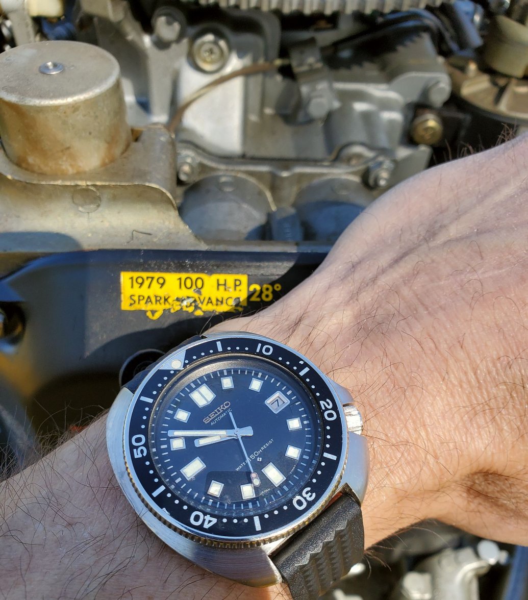 Willard ws 1 20220507_095135.jpg