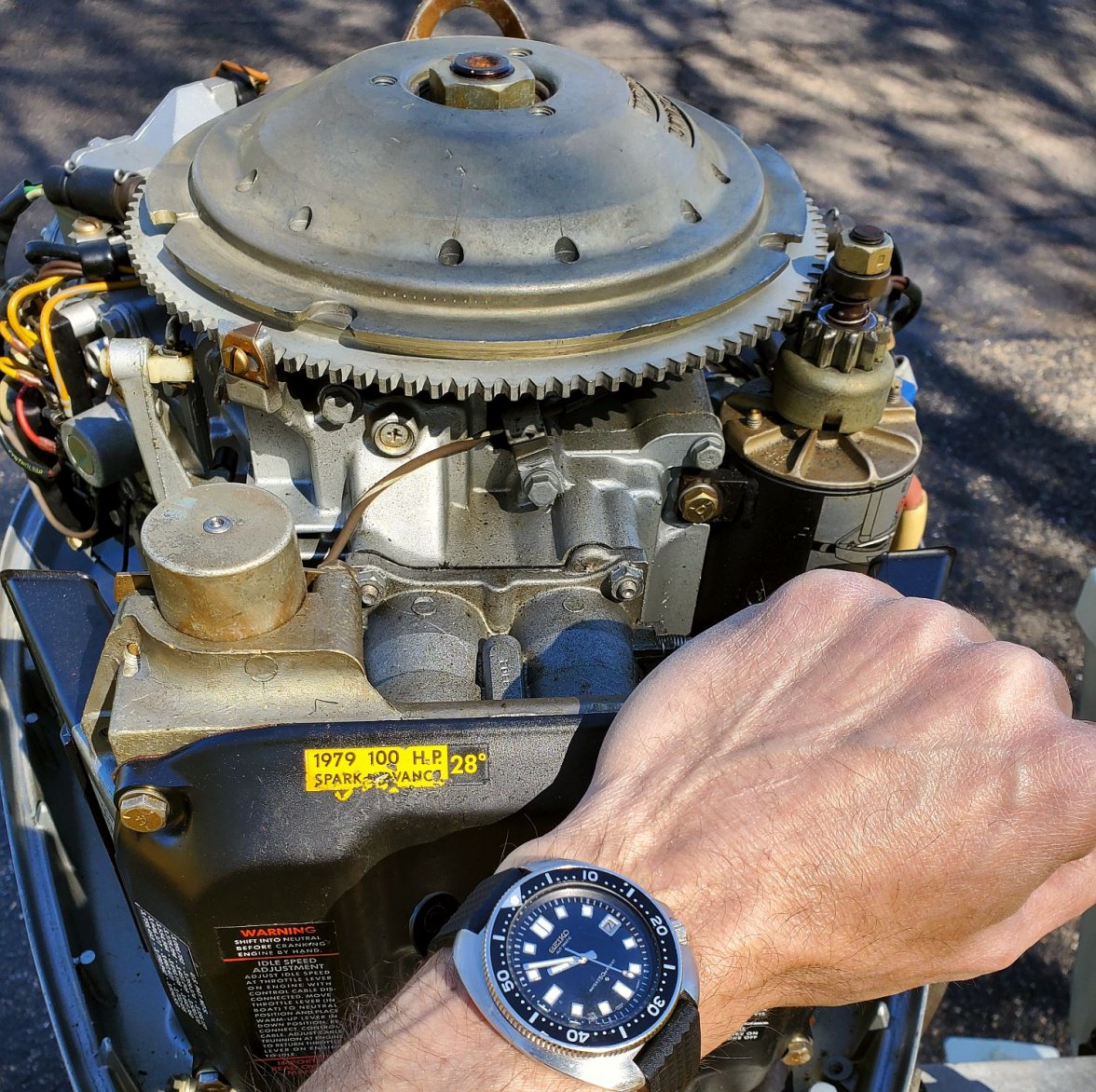 Willard ws 3 20220507_095128.jpg