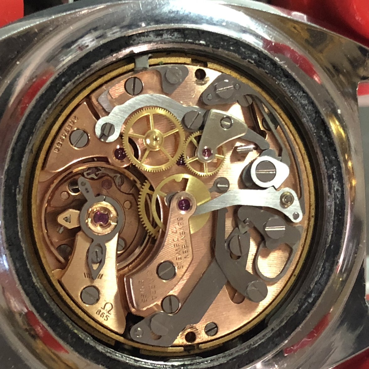 859DB0F8-007E-445C-AD95-AB2EDED74B4A.jpeg 859DB0F8-007E-445C-AD95-AB2EDED74B4A.jpeg