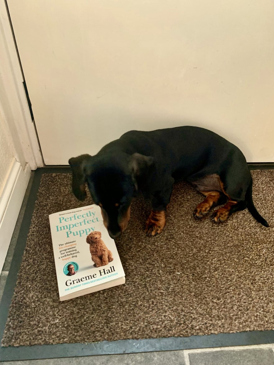 2B6779AC-11B5-4D2B-A654-721985B46F9D_1_201_a.jpeg 2B6779AC-11B5-4D2B-A654-721985B46F9D_1_201_a.jpeg