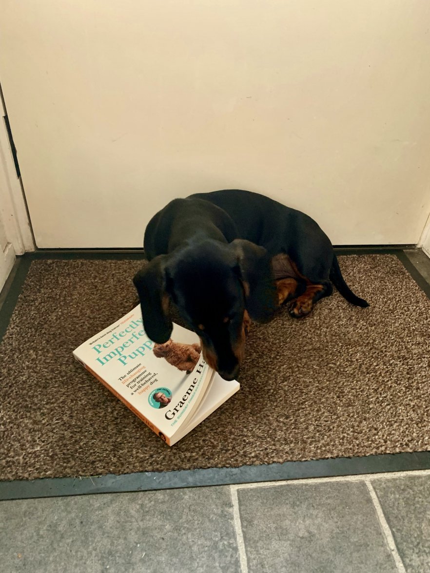 46DD56F6-7791-4B0B-BA7A-0A0BA0B6FEBF_1_201_a.jpeg 46DD56F6-7791-4B0B-BA7A-0A0BA0B6FEBF_1_201_a.jpeg